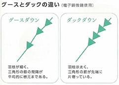 グースとダックの羽毛を詰めものに使用