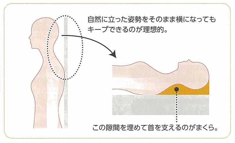 まくらは、なぜ必要なのか？